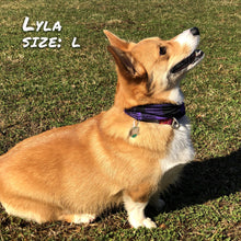 Load image into Gallery viewer, Buffalo Plaid Purple Pup Scruff