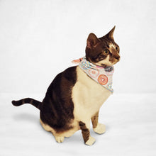 Load image into Gallery viewer, Doughnut Craze Cat & Dog Bandana