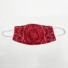Load image into Gallery viewer, Red Bandana Face Cover