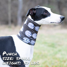 Load image into Gallery viewer, The Stud Pup Scruff