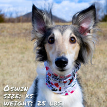 Load image into Gallery viewer, Wags and Wine Pup Scruff