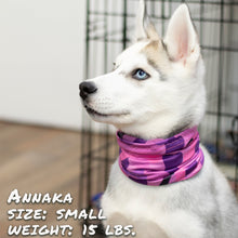 Load image into Gallery viewer, Bone Camo Pink Pup Scruff
