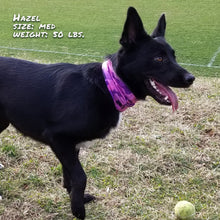 Load image into Gallery viewer, Bone Camo Pink Pup Scruff
