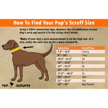 Load image into Gallery viewer, Beer Buddy Pup Scruff
